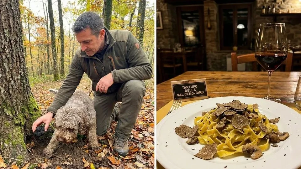 Saveurs de la Tradition